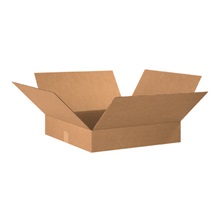 18''-23'' - 075-0107644 - 20'' x 20'' x 4'' Flat Corrugated Boxes