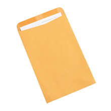 Gummed Envelopes - F06-0112903 - 10