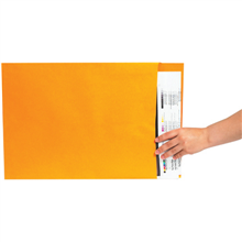 Jumbo Envelopes - F06-0112949 - 18