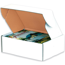 Deluxe Literature Mailers - 078-0108653 - 11 1/8